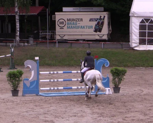 Reitturnier Langenleuba - Oberhain 2025