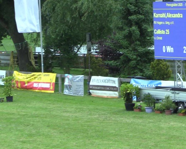 Reitturnier Pennigbüttel 2025