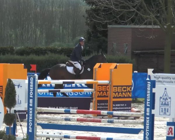 Reitturnier Werne-Lenklar 2014