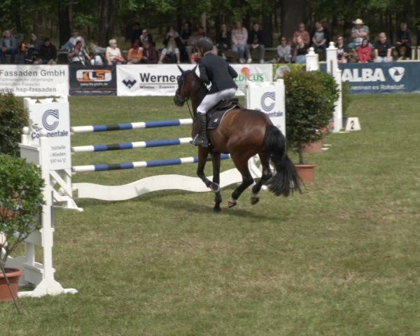 Reitturnier Cottbus-Sielow 2025