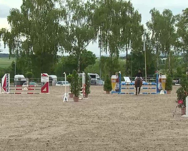 Reitturnier Landenhausen 2025