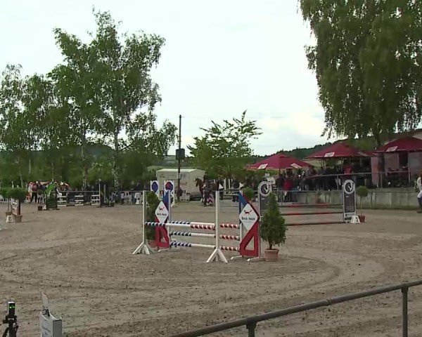 Reitturnier Landenhausen 2025