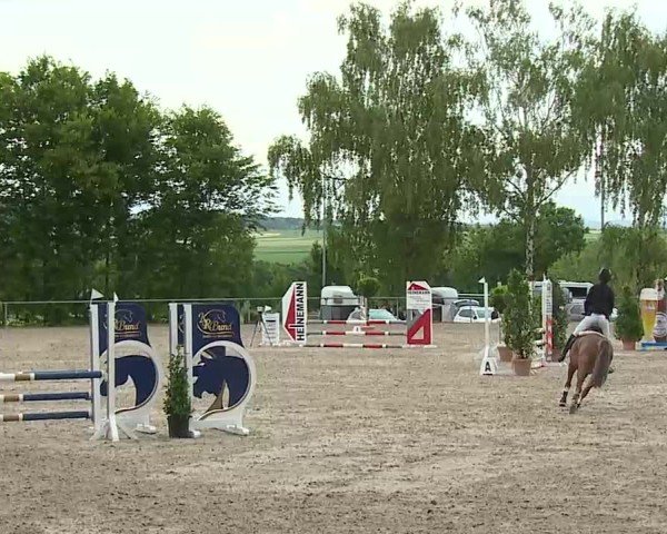 Reitturnier Landenhausen 2025