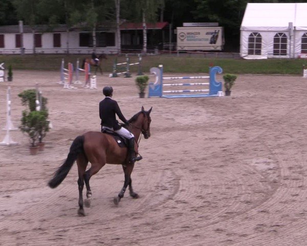 Reitturnier Langenleuba - Oberhain 2025