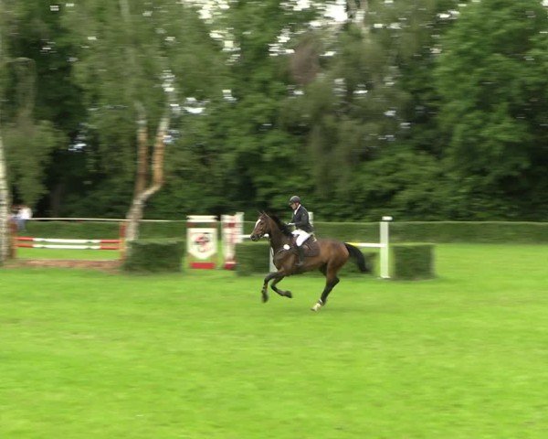 Reitturnier Westeregeln 2025