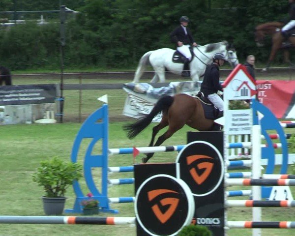 Reitturnier Pennigbüttel 2025