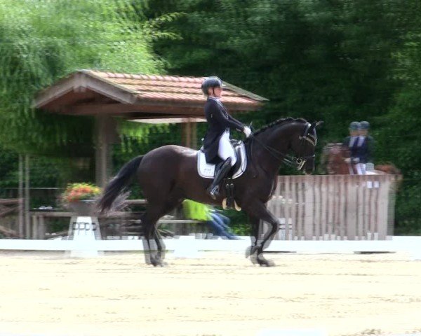 Reitturnier Taufkirchen-Vils/Obb. 2025