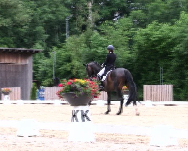 Reitturnier Taufkirchen-Vils/Obb. 2025