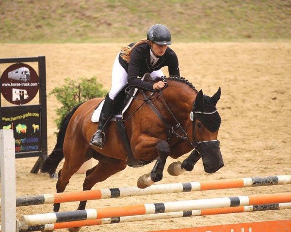 jumper Picordy (Rhinelander, 2006, from Pikeur)