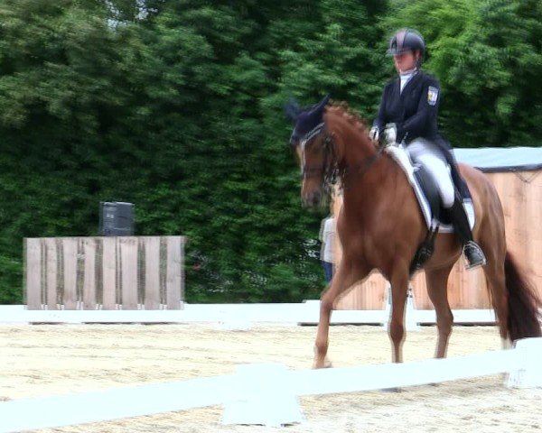 Reitturnier Taufkirchen-Vils/Obb. 2025