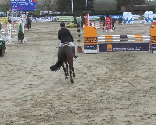 Reitturnier Werne-Lenklar 2014