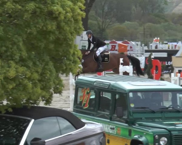 Reitturnier Werne-Lenklar 2014