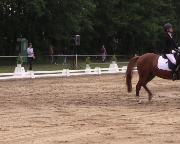 Reitturnier Horka 2025