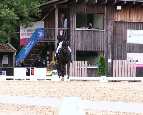 Reitturnier Taufkirchen-Vils/Obb. 2025