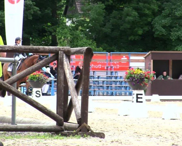 Reitturnier Taufkirchen-Vils/Obb. 2025