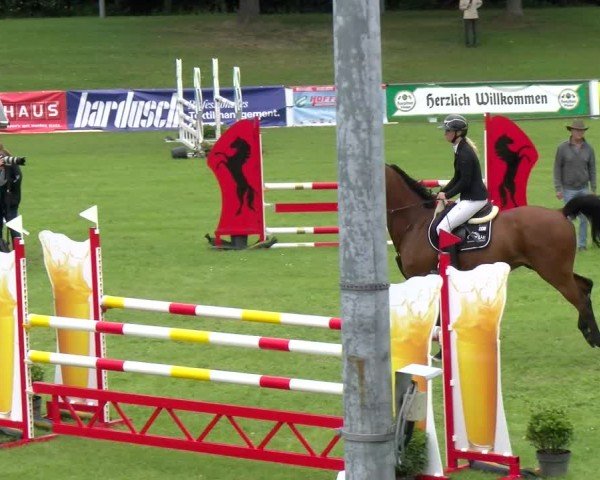 Reitturnier Forst 2025