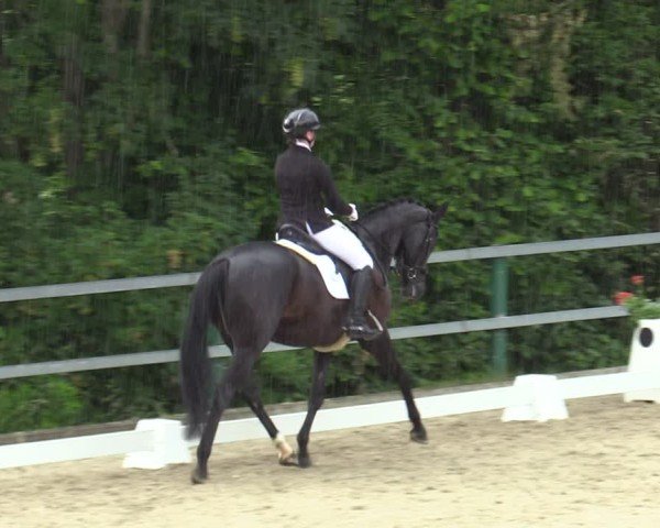 Reitturnier Iserlohn-Kalthof 2025