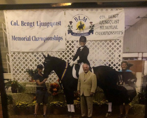 dressage horse Florenz D (Bavarian, 2006, from Florestano)