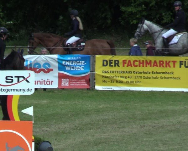 Reitturnier Pennigbüttel 2025