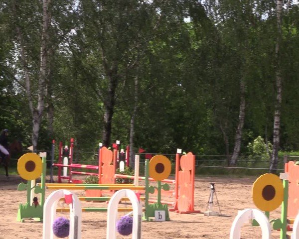 Reitturnier Langenleuba - Oberhain 2025