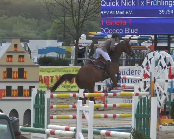Reitturnier Werne-Lenklar 2014