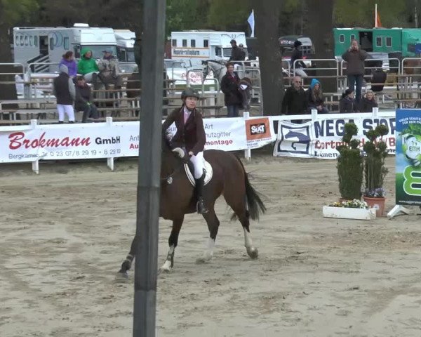 Lenklarer Reitertage 2014