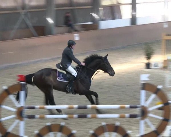 Bonn - Gut Ettenhausen 2014