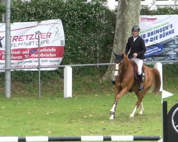 Reitturnier Forst 2025