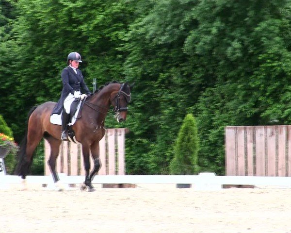 Reitturnier Taufkirchen-Vils/Obb. 2025