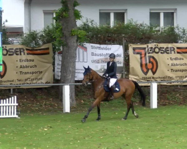 Reitturnier Forst 2025