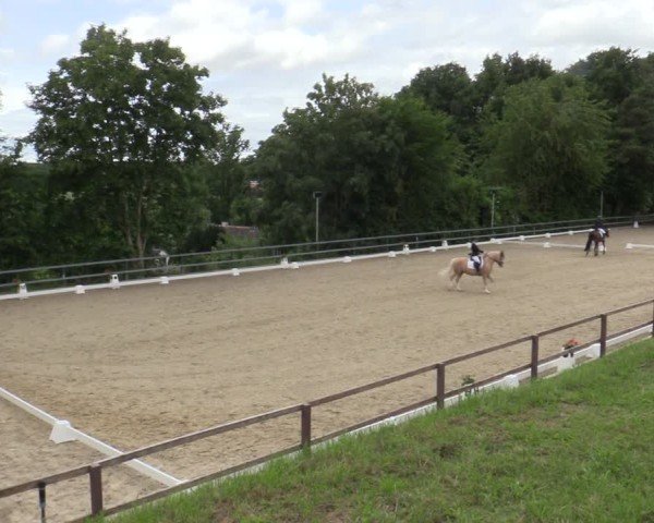 Reitturnier Iserlohn-Kalthof 2025