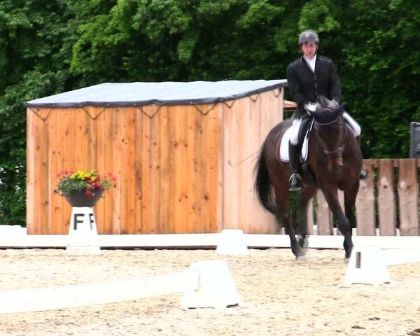 Reitturnier Taufkirchen-Vils/Obb. 2025