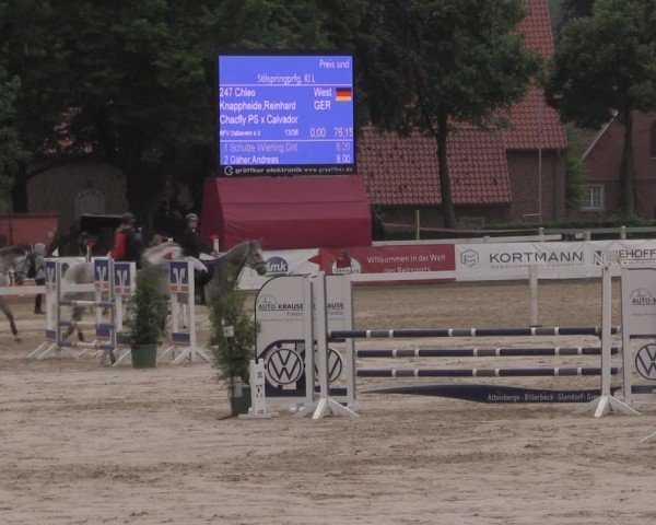 Reitturnier Everswinkel 2025
