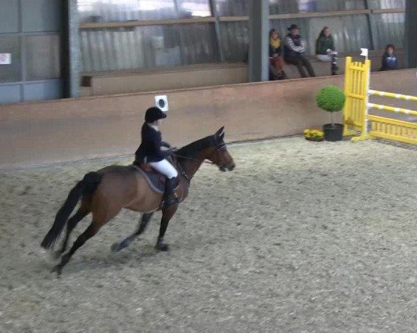 Bonn - Gut Ettenhausen 2014