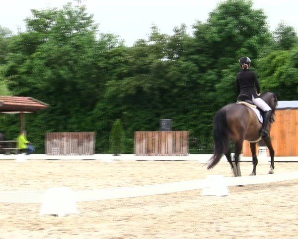 Reitturnier Taufkirchen-Vils/Obb. 2025