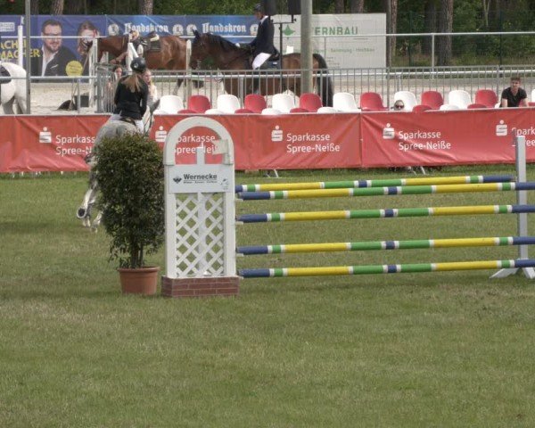 Reitturnier Cottbus-Sielow 2025
