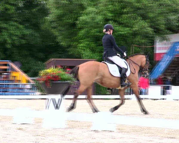 Reitturnier Taufkirchen-Vils/Obb. 2025
