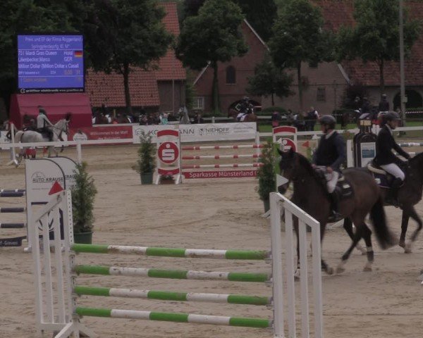 Reitturnier Everswinkel 2025
