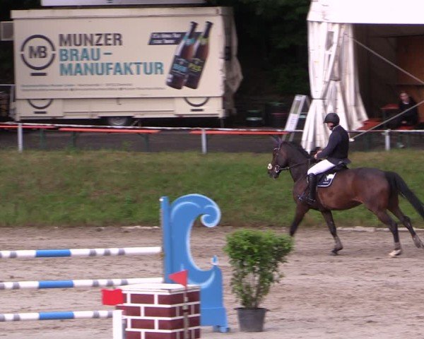 Reitturnier Langenleuba - Oberhain 2025