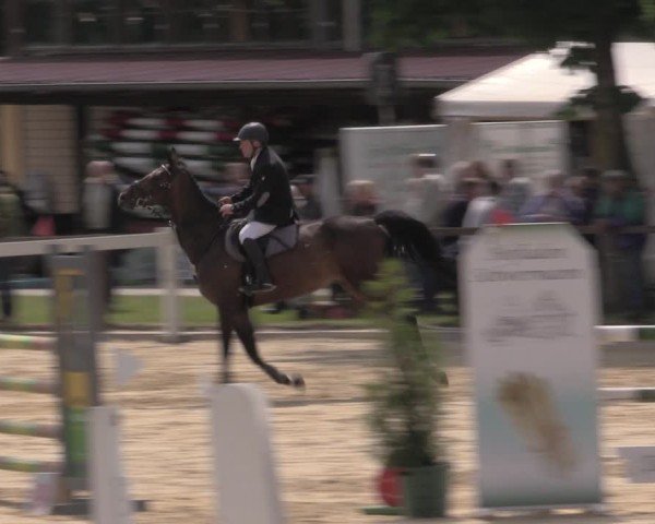 Reitturnier Everswinkel 2025