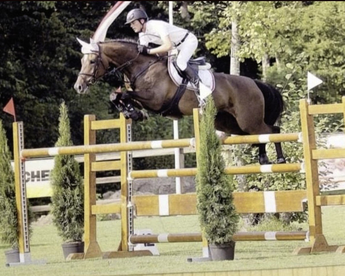 broodmare Valencia XV (Swiss Warmblood,  , from Lux Z)