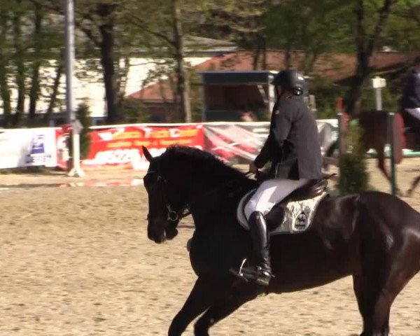 Spenge-Wallenbrück 2014
