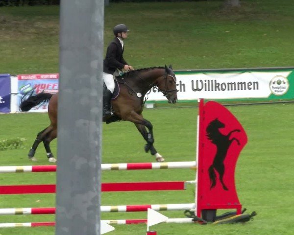 Reitturnier Forst 2025