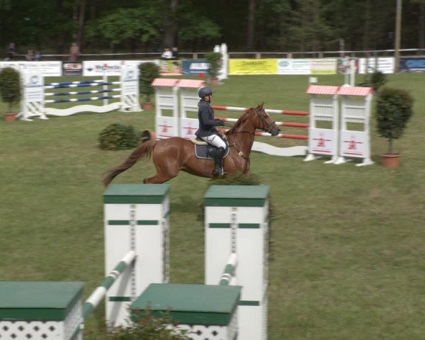 Reitturnier Cottbus-Sielow 2025
