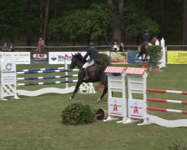 Reitturnier Cottbus-Sielow 2025