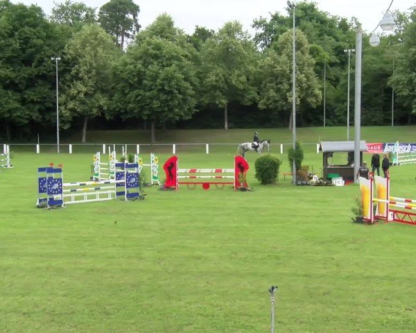 Reitturnier Forst 2025