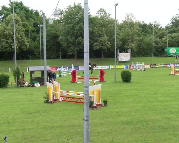 Reitturnier Forst 2025