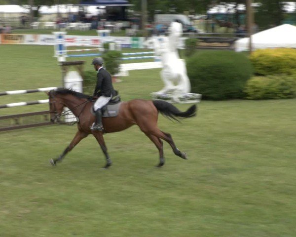 Reitturnier Cottbus-Sielow 2025