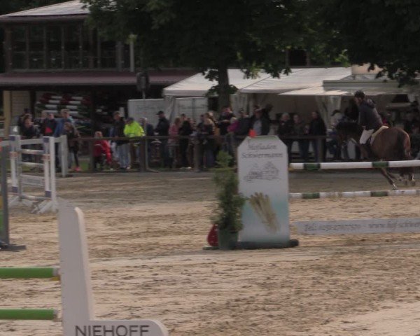 Reitturnier Everswinkel 2025