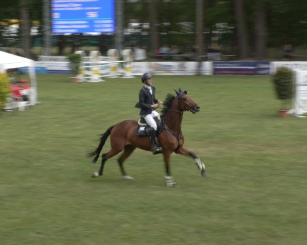 Reitturnier Cottbus-Sielow 2025